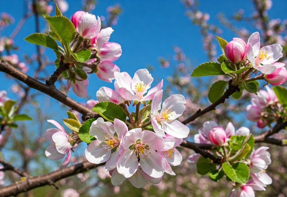 1. a 8. května ZAVŘENO