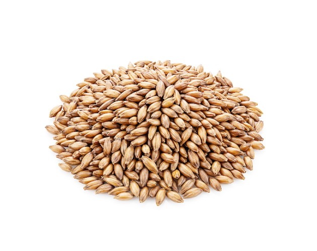 Slad Pale ALE (Souflet) 50 kg